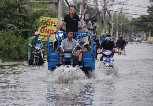 Triều cường lên cao, Thành phố Hồ Chí Minh mênh mông biển nước